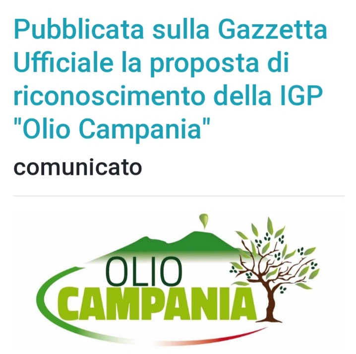 Olio Campania verso la IGP