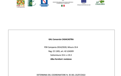 Determina n. 35: Revisione Albo Fornitori