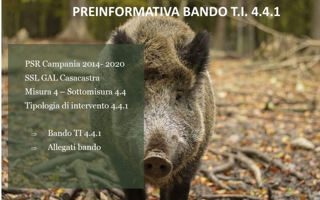 Preinformativa bandi T.I. 4.4.1.