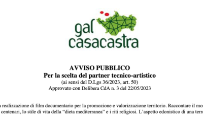 AVVISO PUBBLICO Per la scelta del partner tecnico-artistico