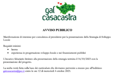 AVVISO: Manifestazione di interesse per consulenza al presidente per la presentazione della Strategia di Sviluppo Locale