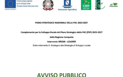 SELEZIONE COMUNITÀ DI PROGETTO E ATTUAZIONE PROGETTO COMPLESSO DI COMUNITÀ
